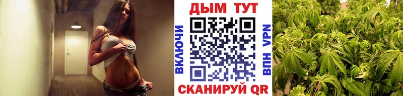 купить  цена  ссылка на мегу маркетплейс  Бошки марихуана ГИДРОПОН  Кологрив 